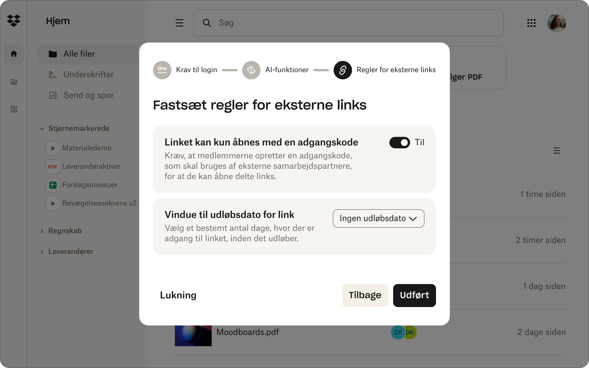 Indstillingsvindue, der viser muligheder for at beskytte eksterne links med adgangskode og indstille linkudløb i en fildelingsgrænseflade.