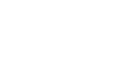 Shein 標誌