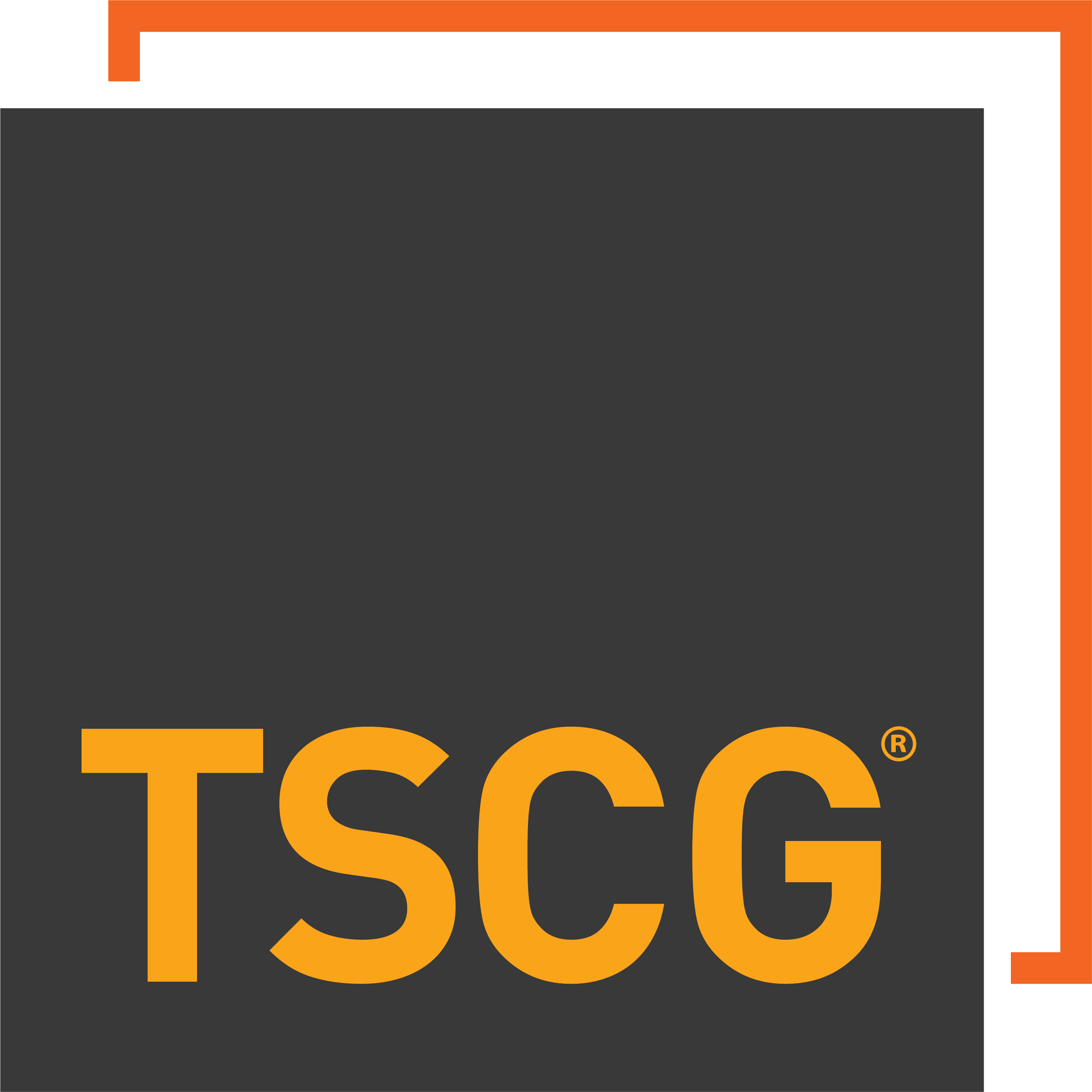 Logo de The Shopping Center Group