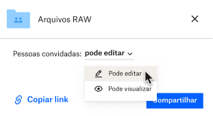 Em um arquivo, um usuário pode escolher se as pessoas com quem ele compartilha um arquivo podem editá-lo ou apenas visualizá-lo.
