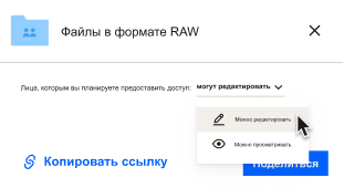 Пользователям, которым предоставлен общий доступ к файлу, можно предоставить полномочия на редактирование или только просмотр.