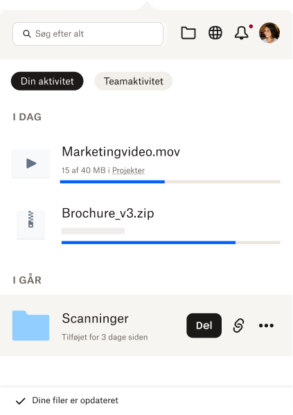Bakken er åben, og den viser brugeren en kort liste over deres seneste filer og filaktivitet. 