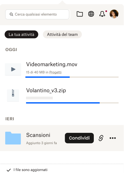 Il riquadro è aperto e mostra all'utente un breve elenco dei file visualizzati di recente e delle attività svolte sui file. 