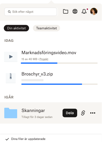 Facket är öppet och det visar användaren en kort lista över deras senaste filer och filaktivitet. 