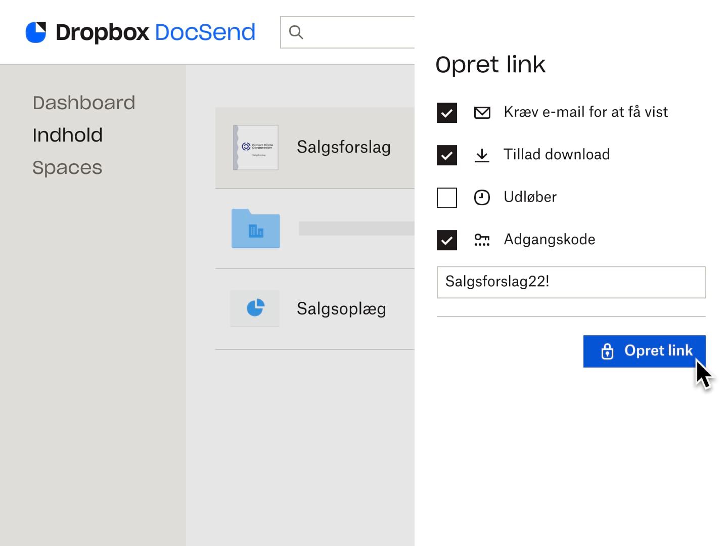 En bruger opretter et link, der kræver en e-mailadresse og en adgangskode for at se filen, med tilladelse til at filen kan downloades.
