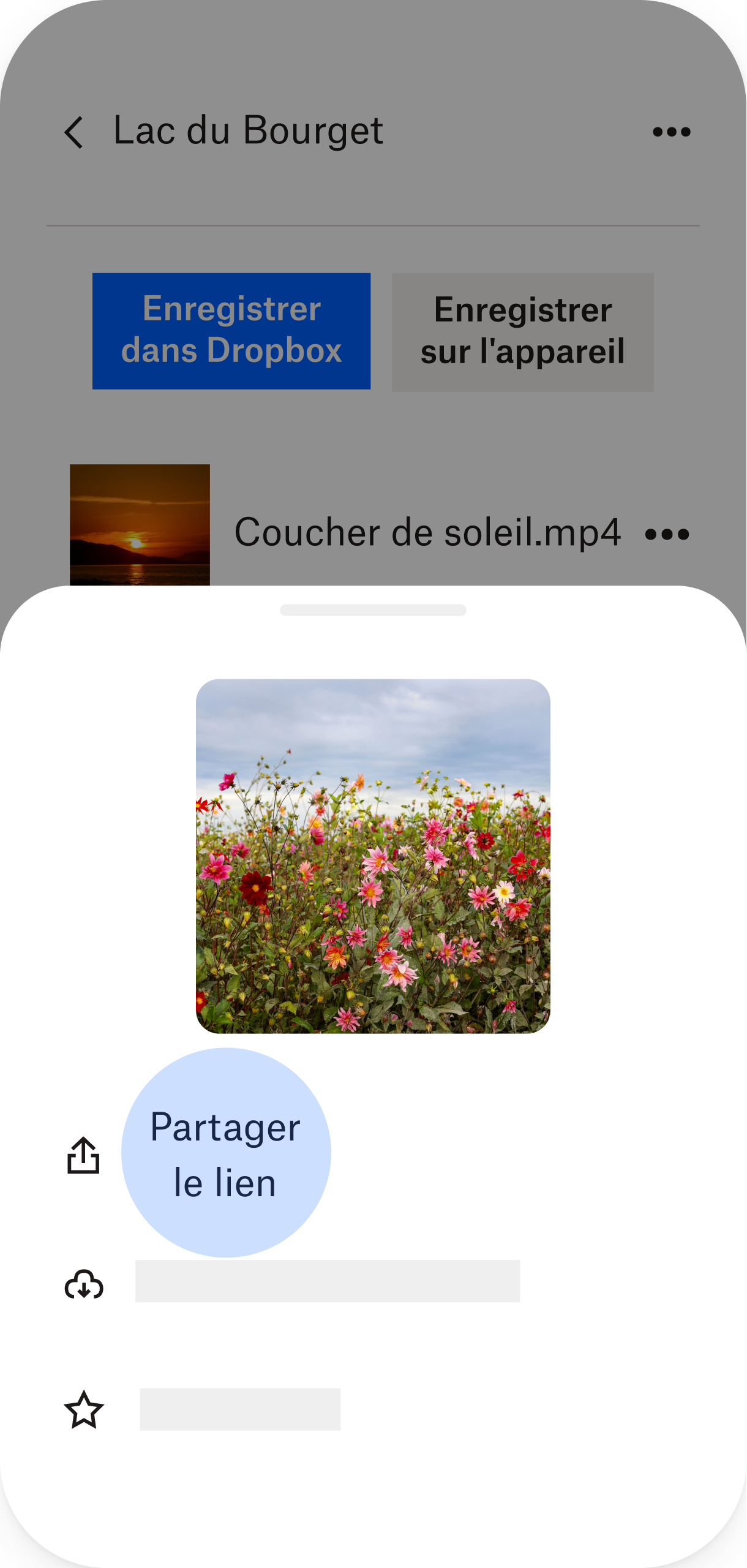 Écran de téléphone avec option “Partager le lien” surlignée