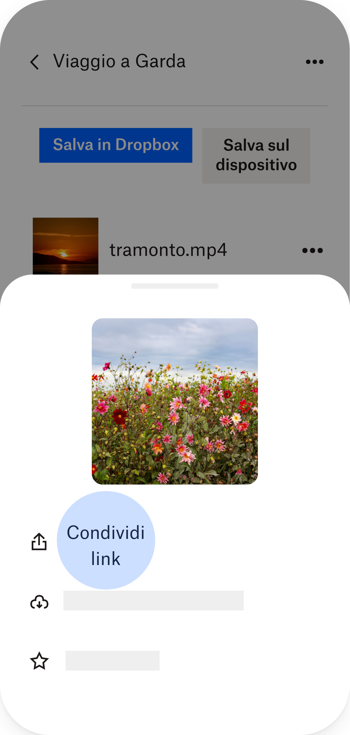 Schermata del telefono con il link di condivisione evidenziato