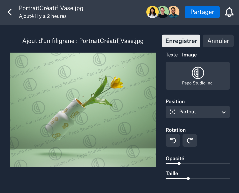 Application d’un filigrane personnalisé à une image dans Dropbox
