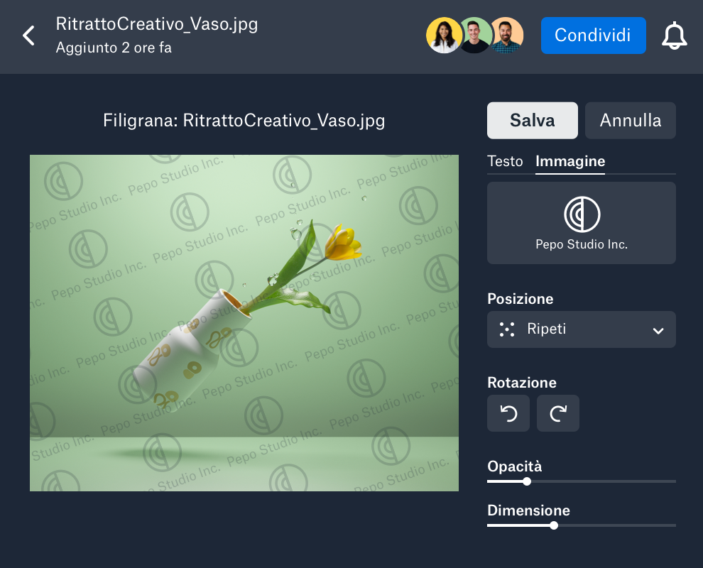 Una filigrana personalizzata applicata a un'immagine in Dropbox