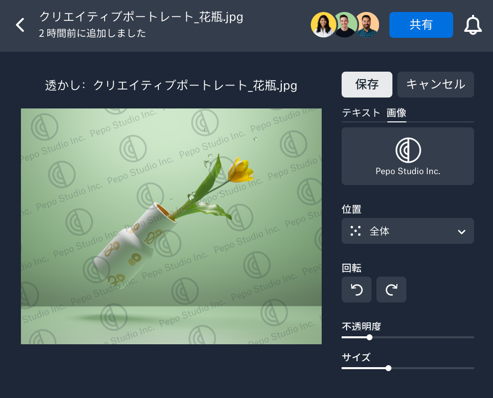 Dropbox 上の画像に適用されている独自の透かし