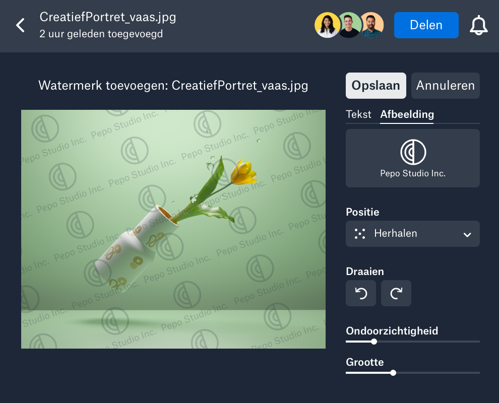 Een aangepast watermerk dat wordt toegepast op een afbeelding in Dropbox