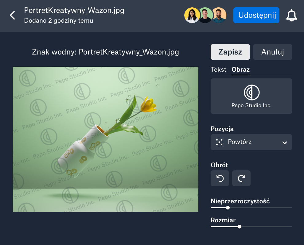 Niestandardowy znak wodny stosowany do obrazu w Dropbox