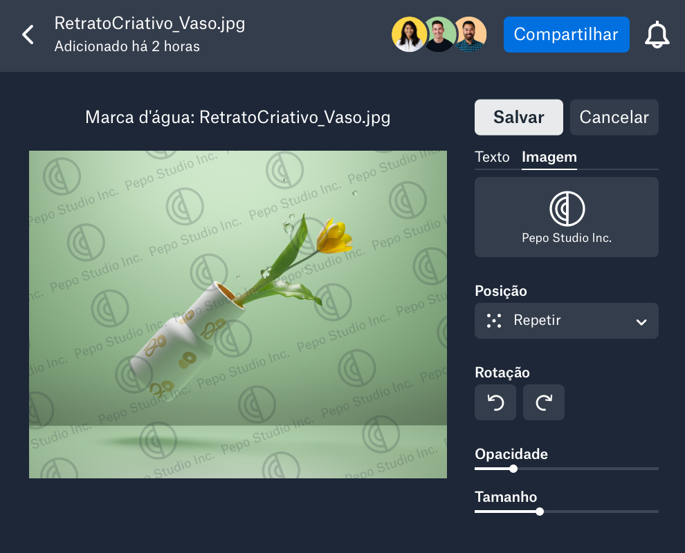 Uma marca d'água personalizada sendo aplicada em uma imagem no Dropbox