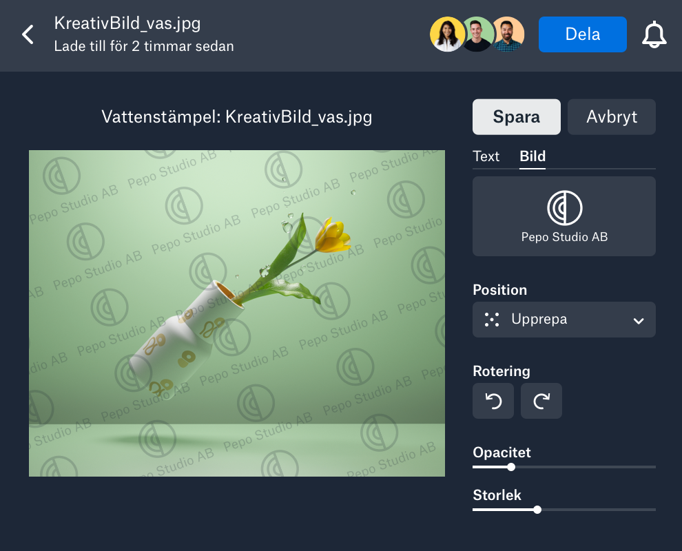 En anpassat vattenstämpel placeras på en bild i Dropbox
