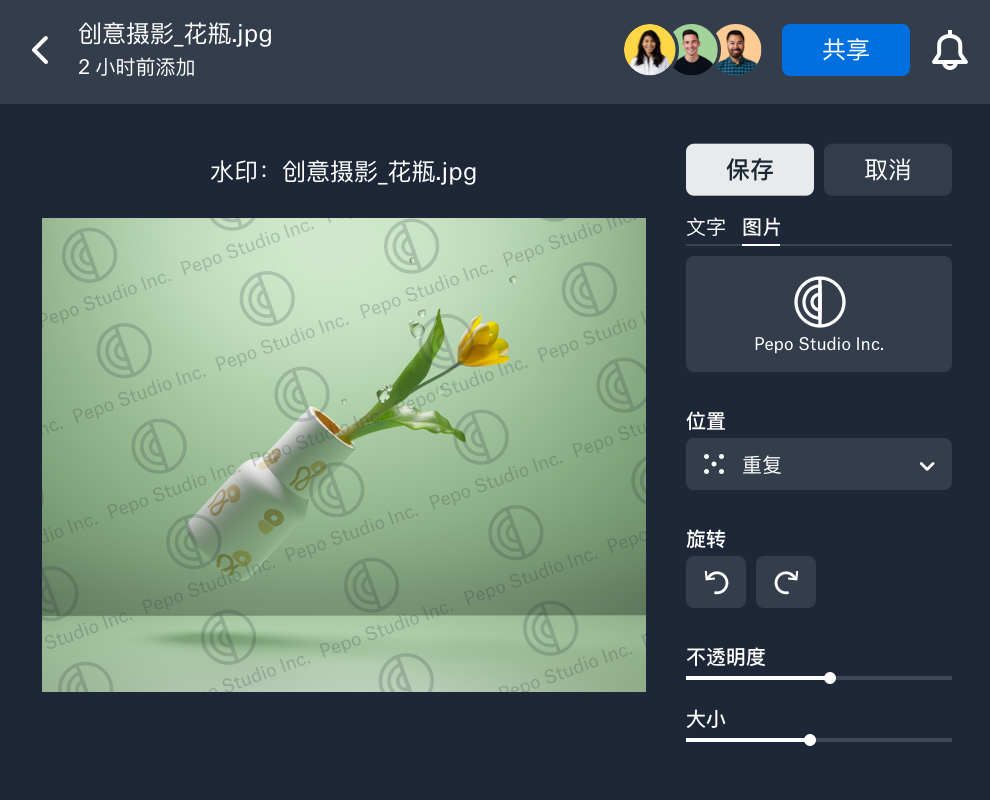正在向 Dropbox 中的图片应用自定义水印