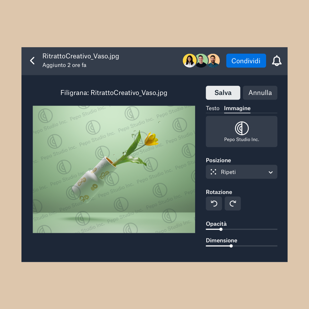 l'interfaccia della filigrana in Dropbox con i comandi di attivazione/disattivazione per la selezione dell'immagine della filigrana come anche della posizione, dell'opacità e della dimensione della filigrana.