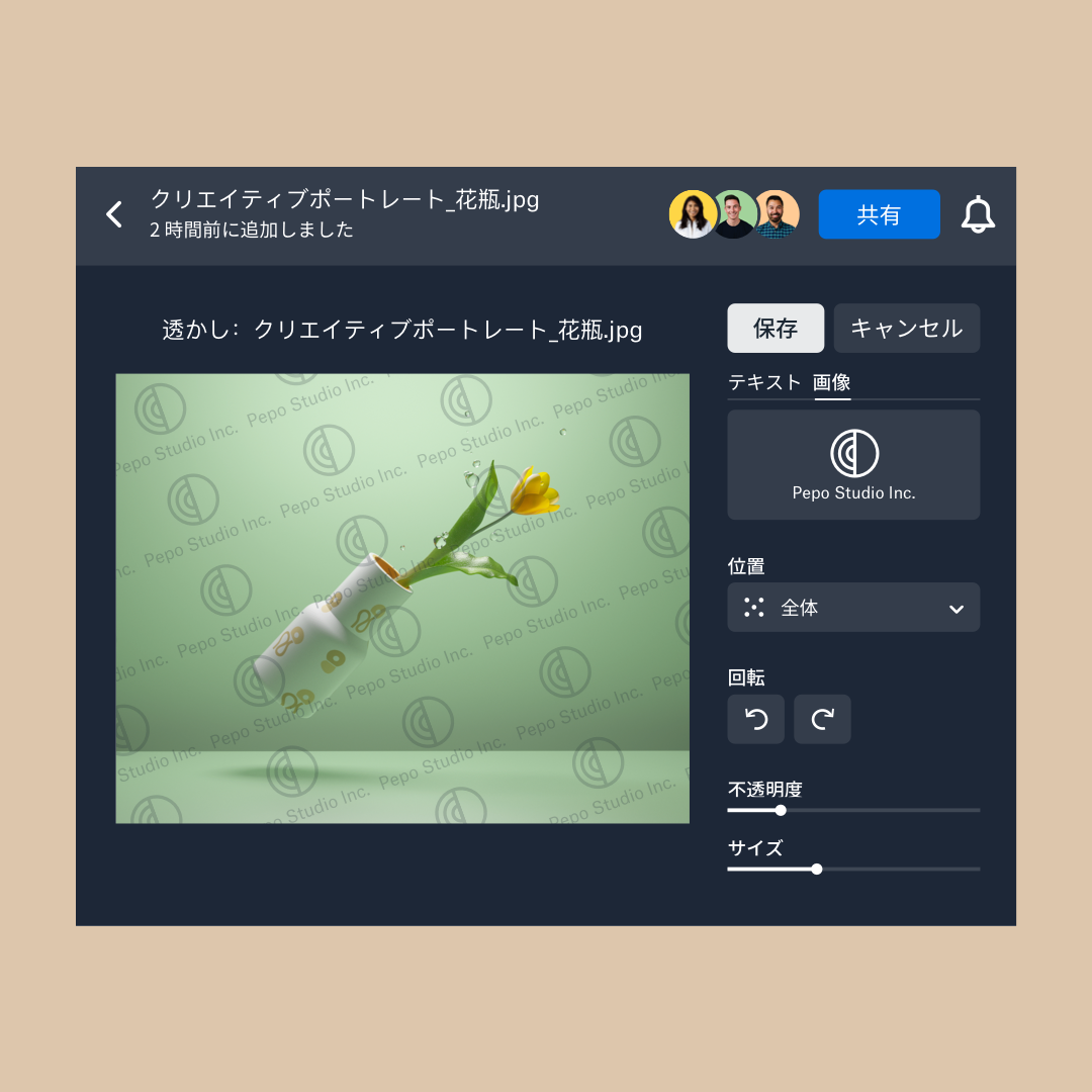 透かしの画像、位置、透明度、サイズを設定するオプションが表示された、Dropbox の透かし設定インターフェース
