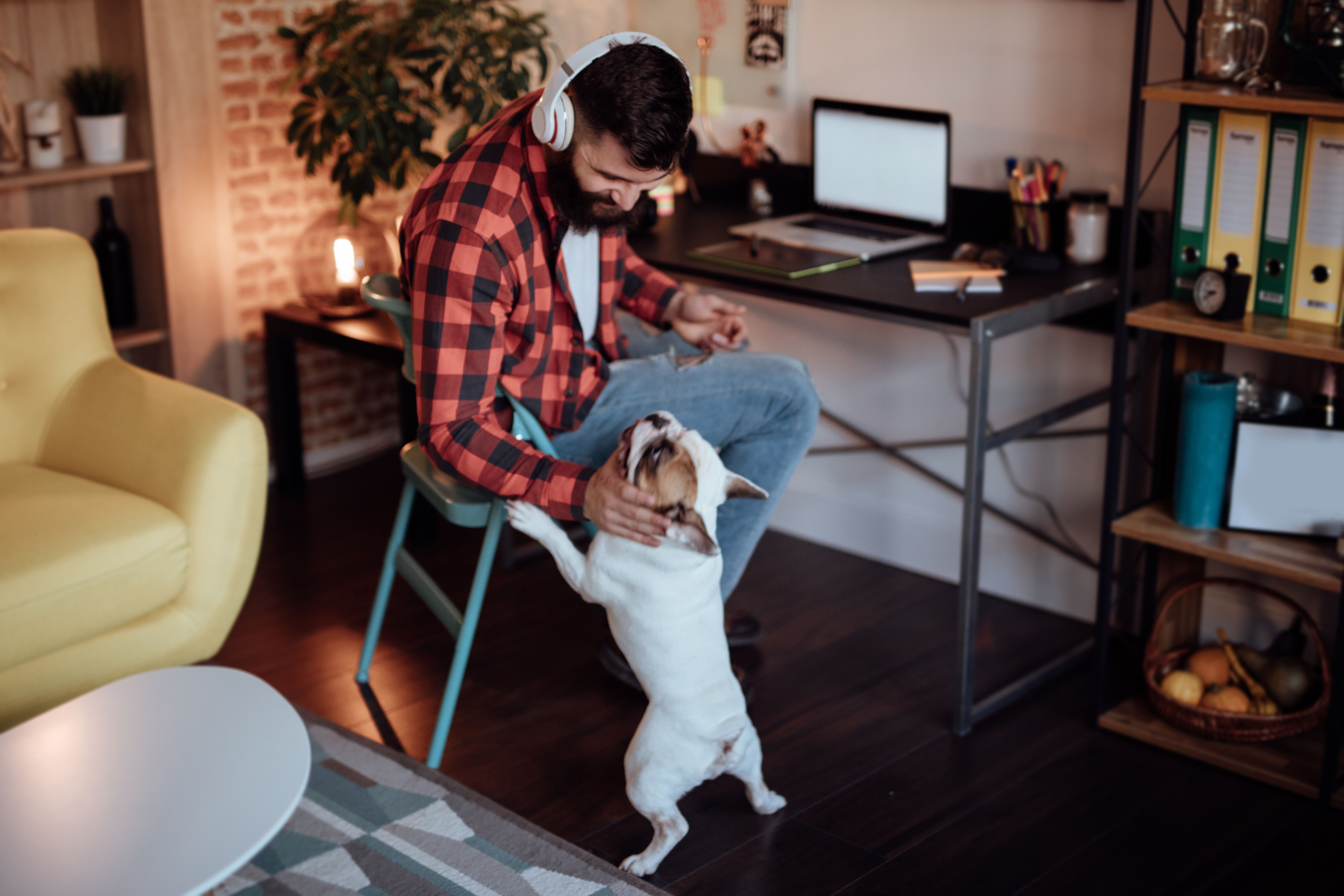 A person works from their laptop at home while playing with a pet dog.