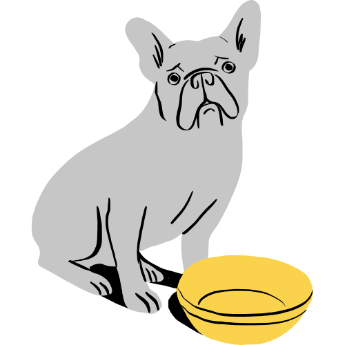 A dog with an empty food bowl looks sad.