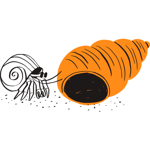 An illustration of a hermit crab moving to occupy a new, larger shell.