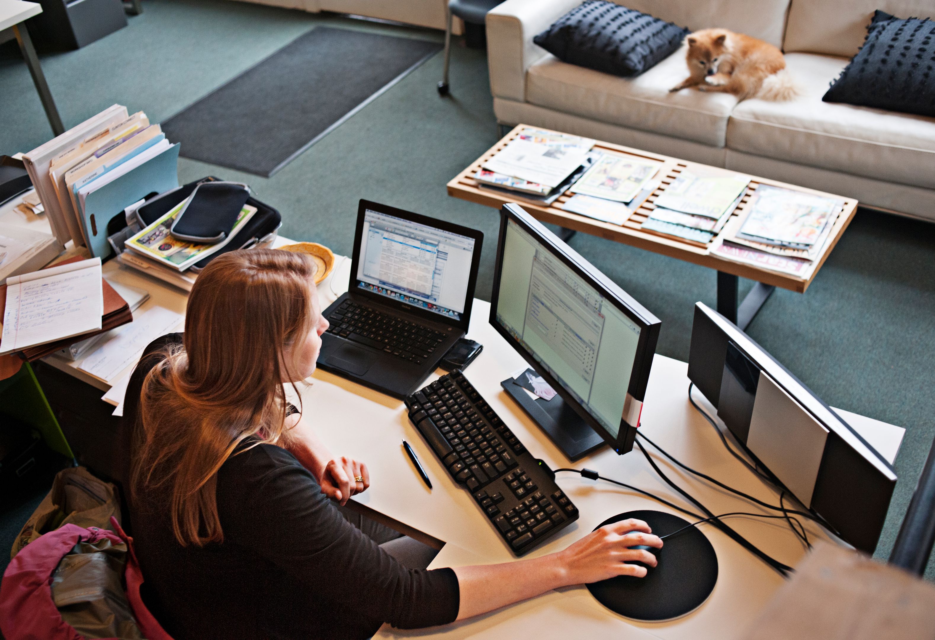 A person works on two screens from home while their dog sits on the couch.