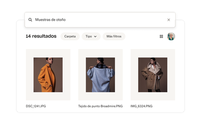 Buscar pantalla en Dropbox