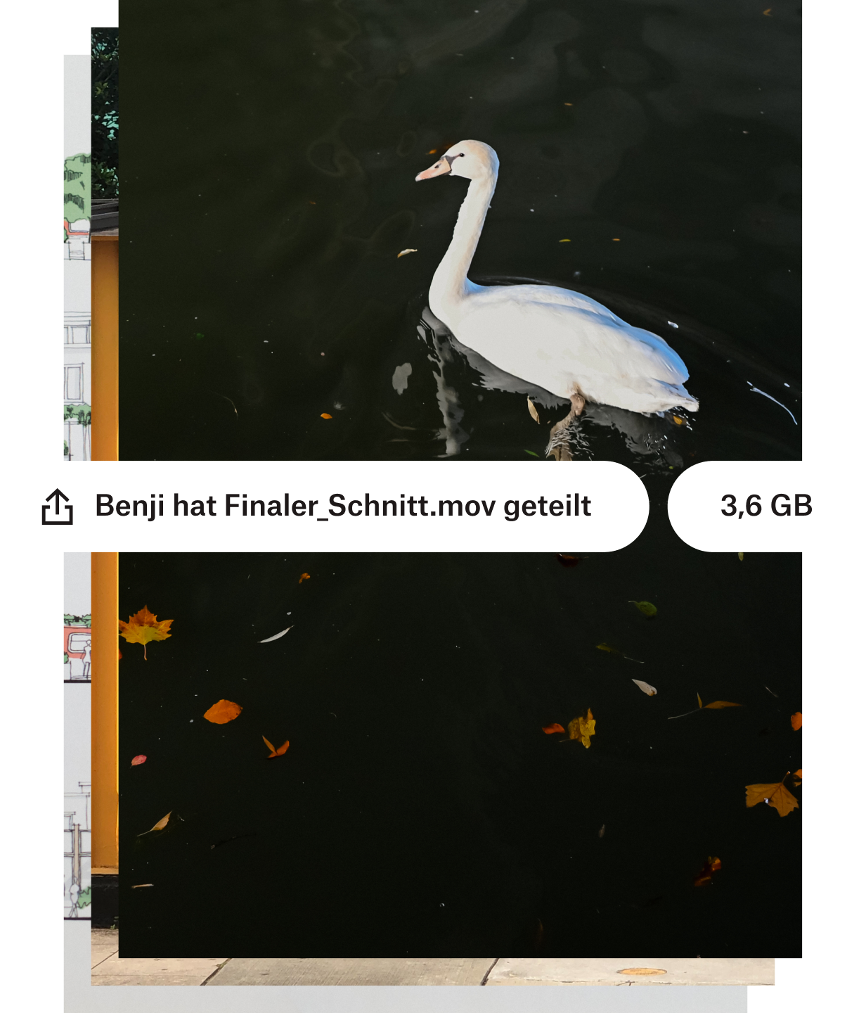 Ein Benutzer teilt eine große Videodatei von einem Vogel in einem Teich