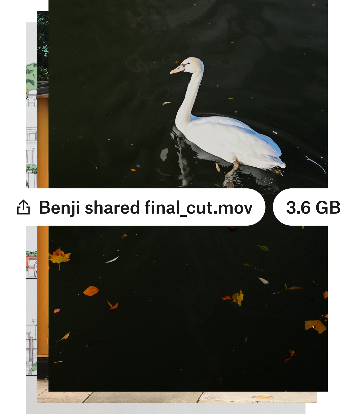 A user sharing a large video file of a bird in a pond