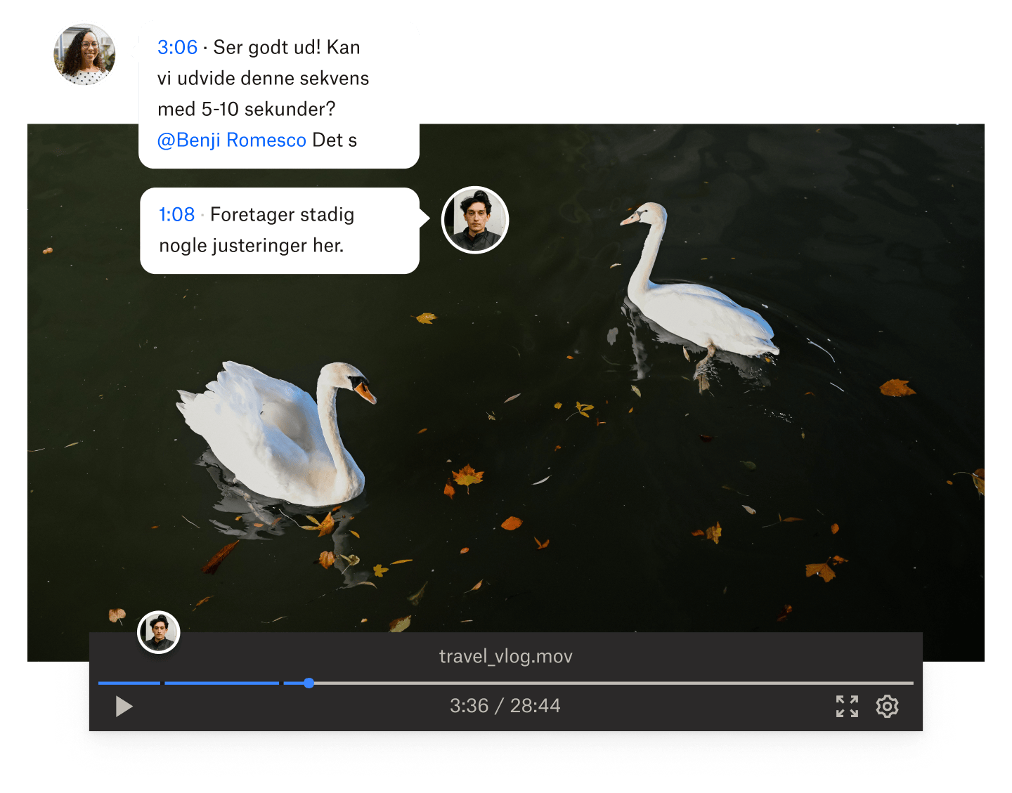Et stillbillede fra en video med to svaner i vandet med tidsstemplede kommentarer overlejret på videoen