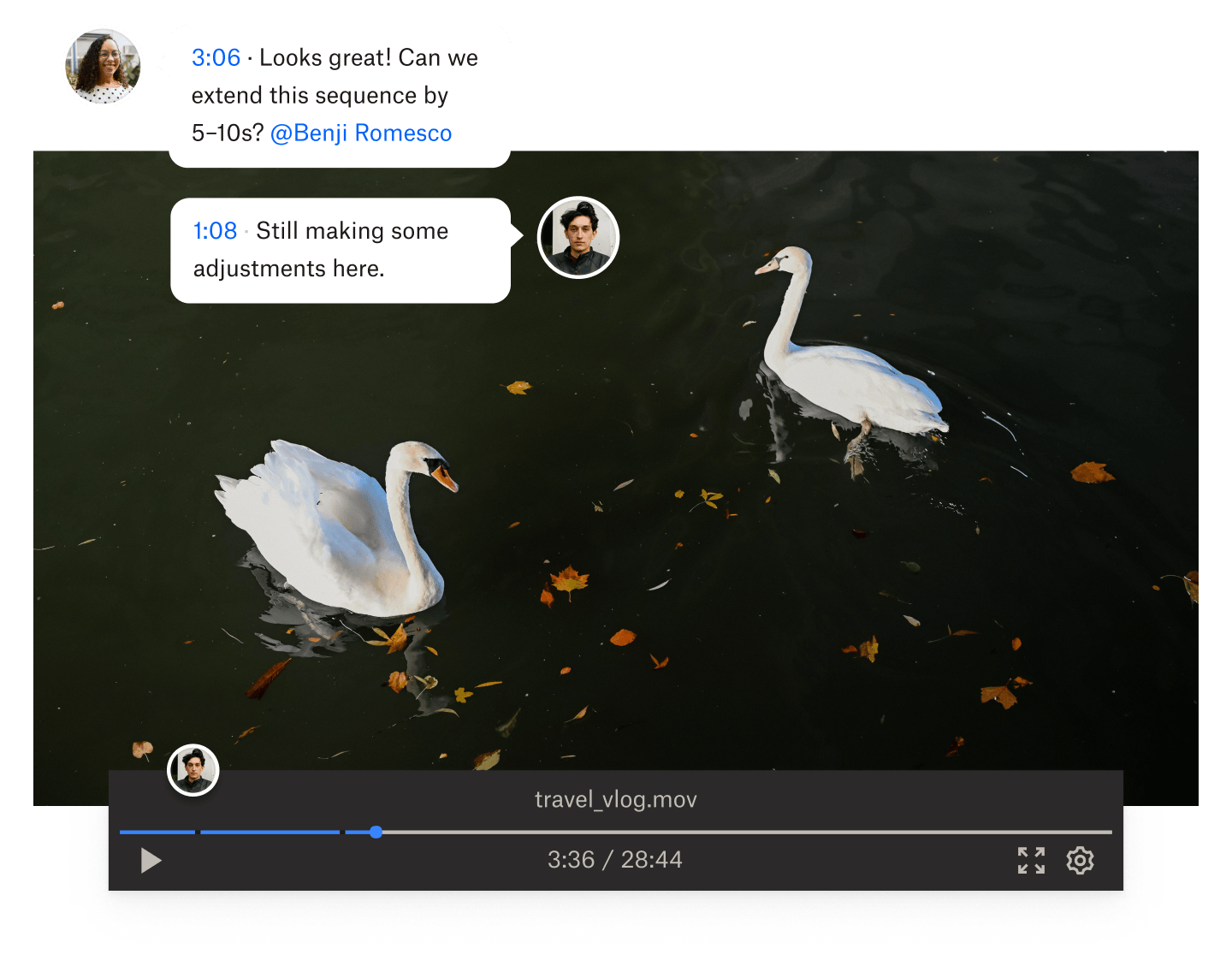 A still from a video of two swans swimming in water with time-stamped comments overlaid on the video