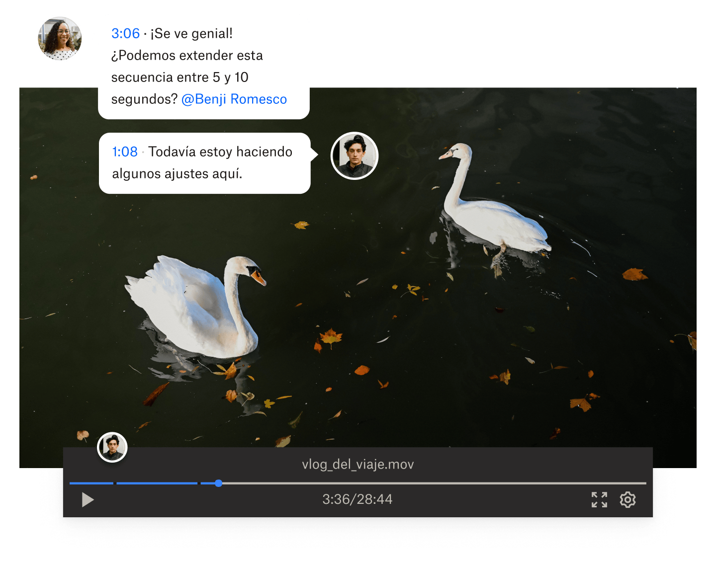 Dos personas dejan un comentario con código de tiempo en un archivo de video de Dropbox de dos cisnes nadando.