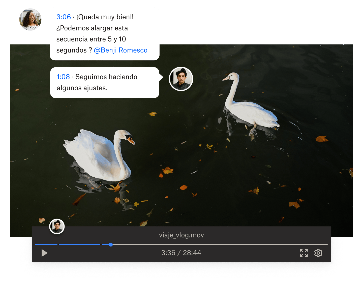 Dos personas dejan un comentario por tiempo en un archivo de vídeo de Dropbox en el que salen dos cisnes nadando.