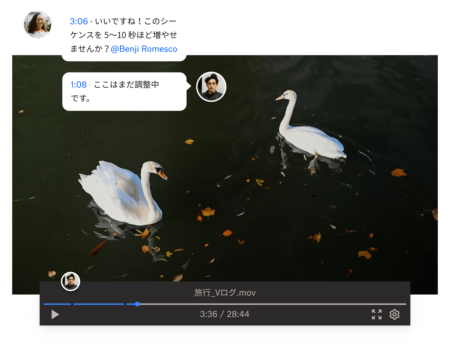 2 羽の白鳥が泳いでいる Dropbox 動画ファイルで、タイムコード付きのコメントを追加する 2 人の人物