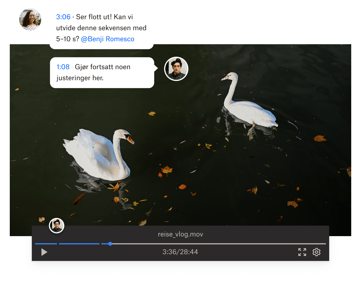 Et stillbilde fra en video av to svaner som svømmer i vann med tidsstemplede kommentarer over videoen