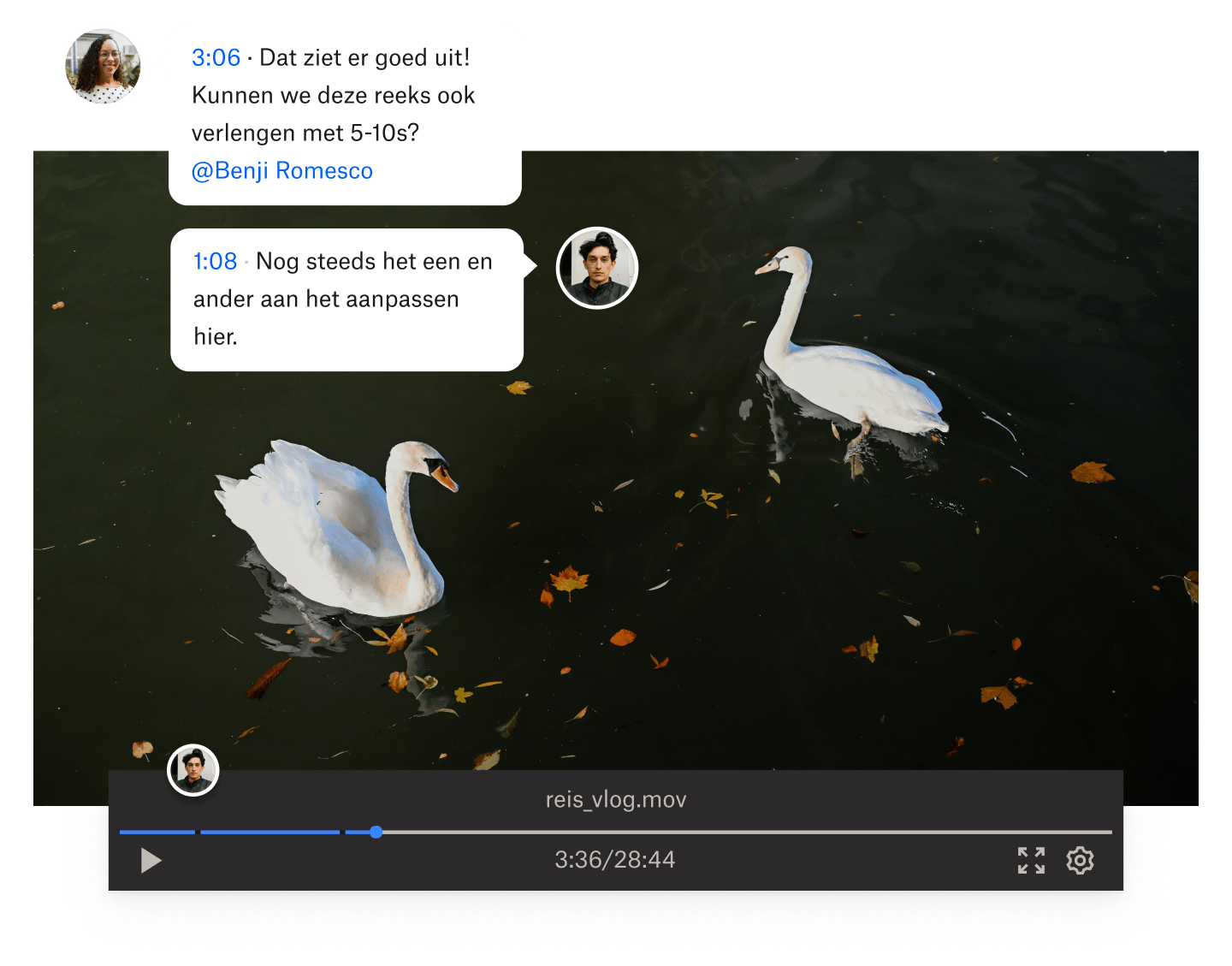 Een still van een video van twee zwanen die in het water zwemmen met tijdgestempelde opmerkingen die over de video heen zijn gemonteerd