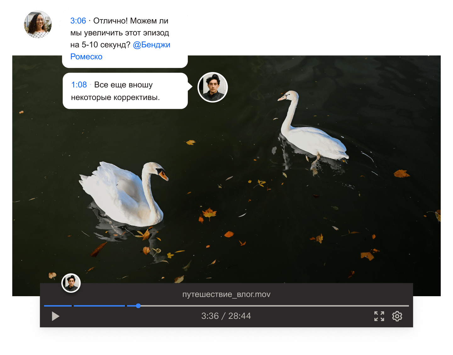 Кадр из видео с двумя лебедями, плывущими по воде, с наложенными комментариями и отметками времени