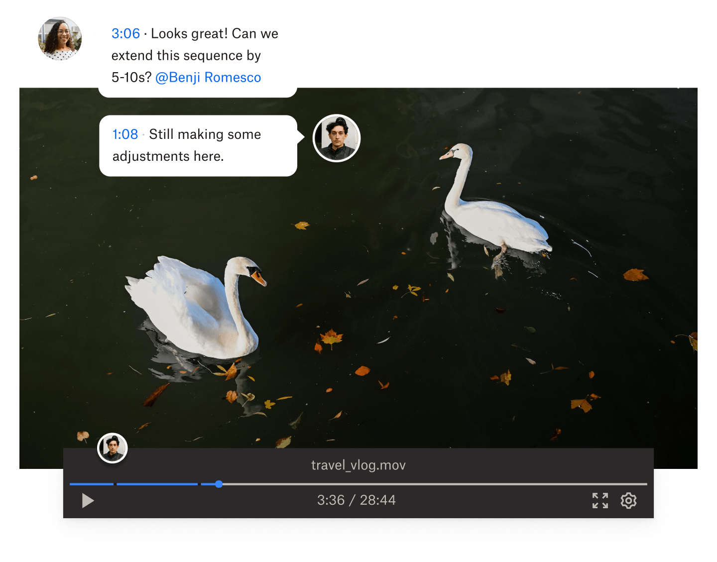 A still from a video of two swans swimming in water with time stamped comments overlayed on the video