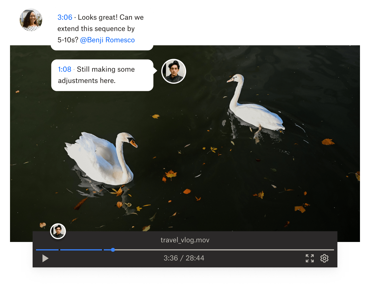 Two people leave a time based comment on a Dropbox video file of two swans swimming.