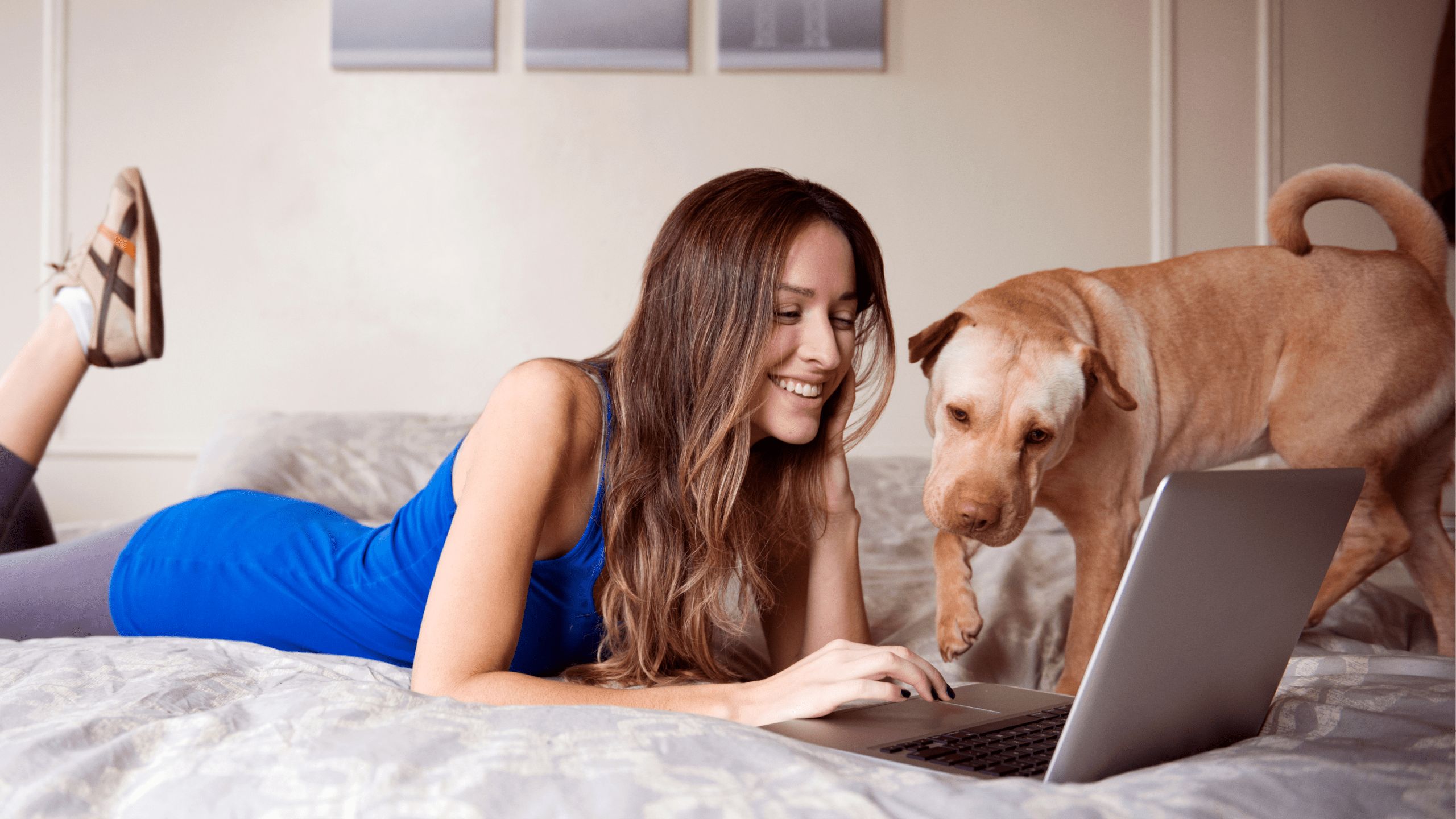Imej seorang wanita menggunakan komputer riba bersama dengan anjingnya