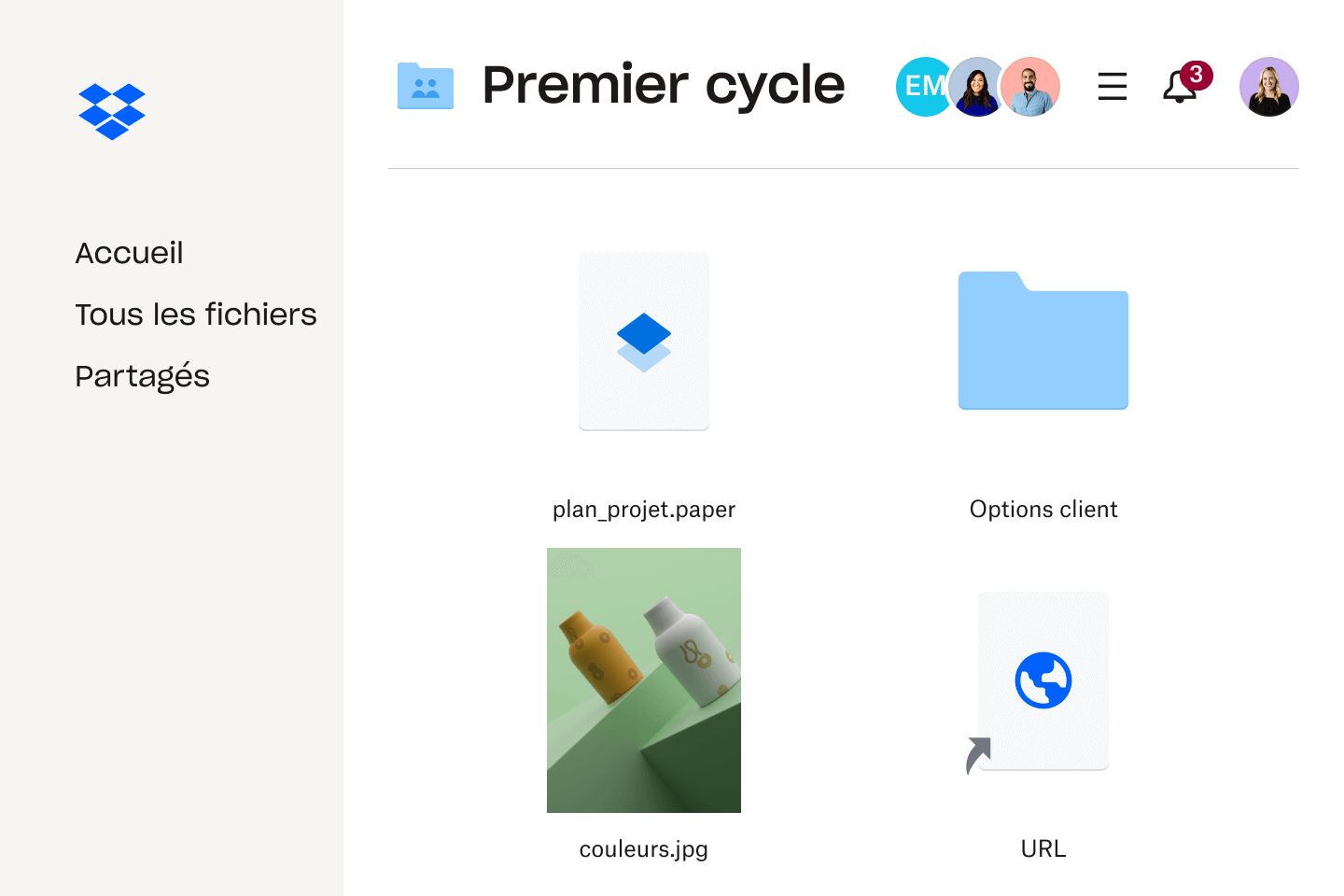 Image de fichiers et de dossiers dans l'interface Dropbox