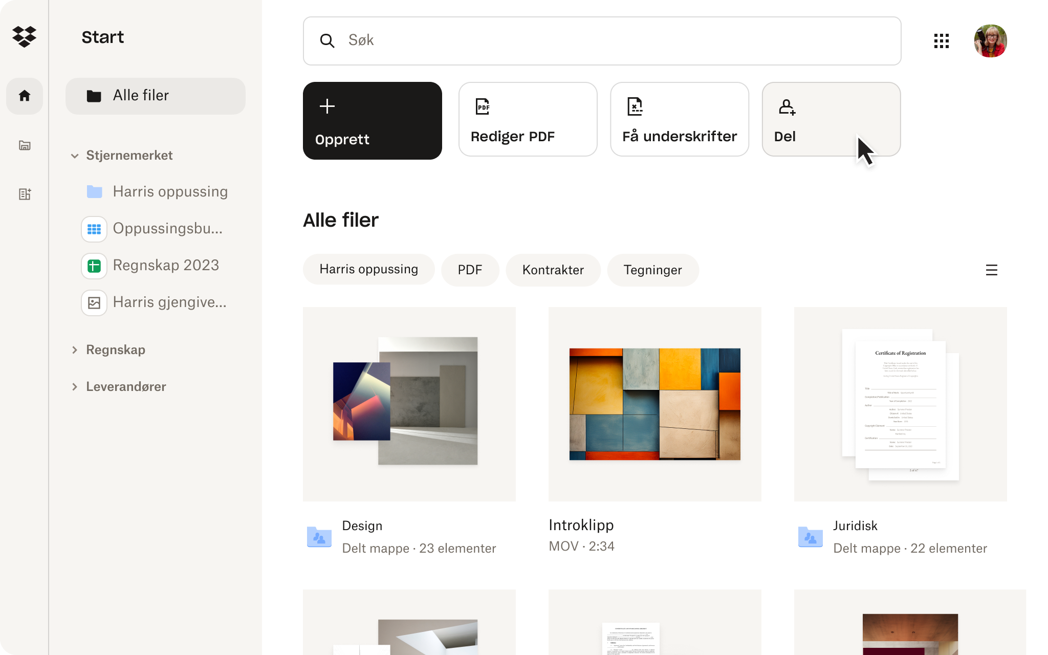 Et skjermbilde av Dropbox-grensesnittet som viser noen som deler en fil i nettskylagringen sin for å samarbeide effektivt.