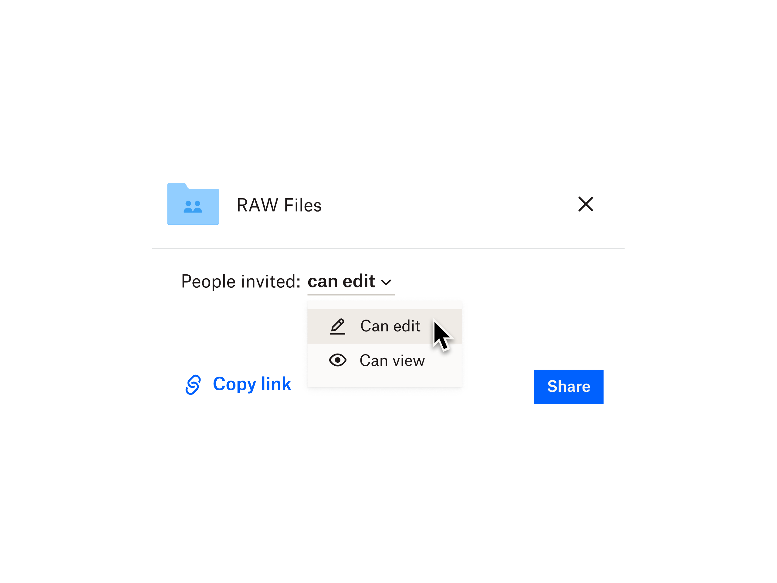 The Dropbox interface in which a user sets edit permissions for a RAW files folder