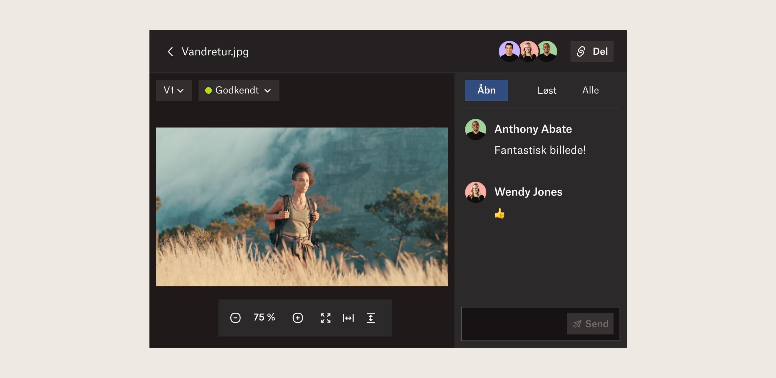 To brugere kommenterer et billede i Dropbox Replay-grænsefladen