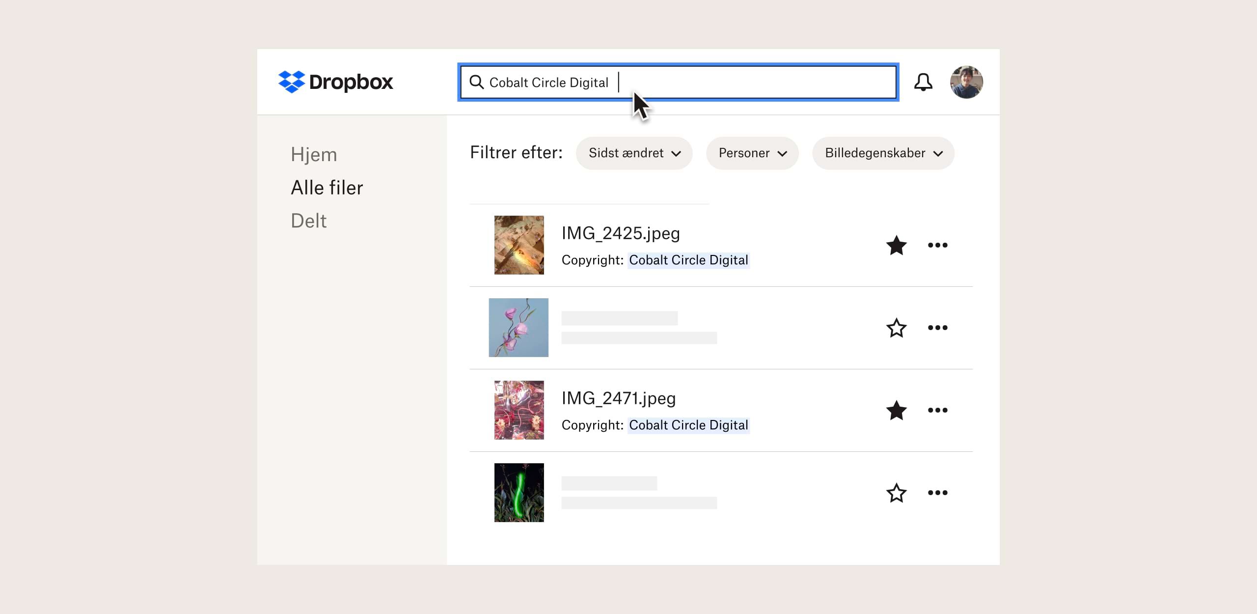 En søgeresultatside med billeder med ophavsret i Dropbox-grænsefladen