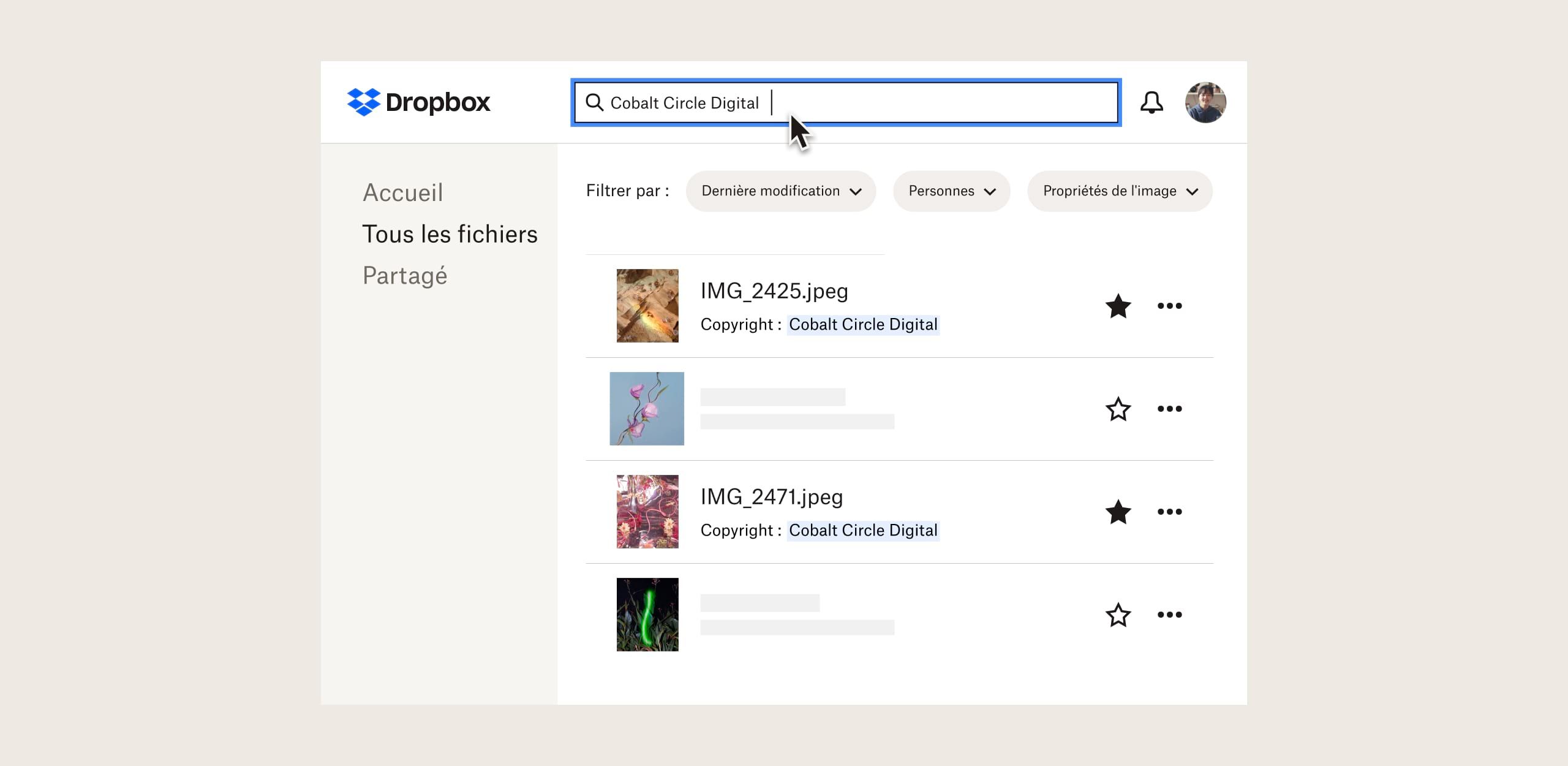 Page de résultats de recherche d'images protégées par des droits d'auteur dans l'interface Dropbox