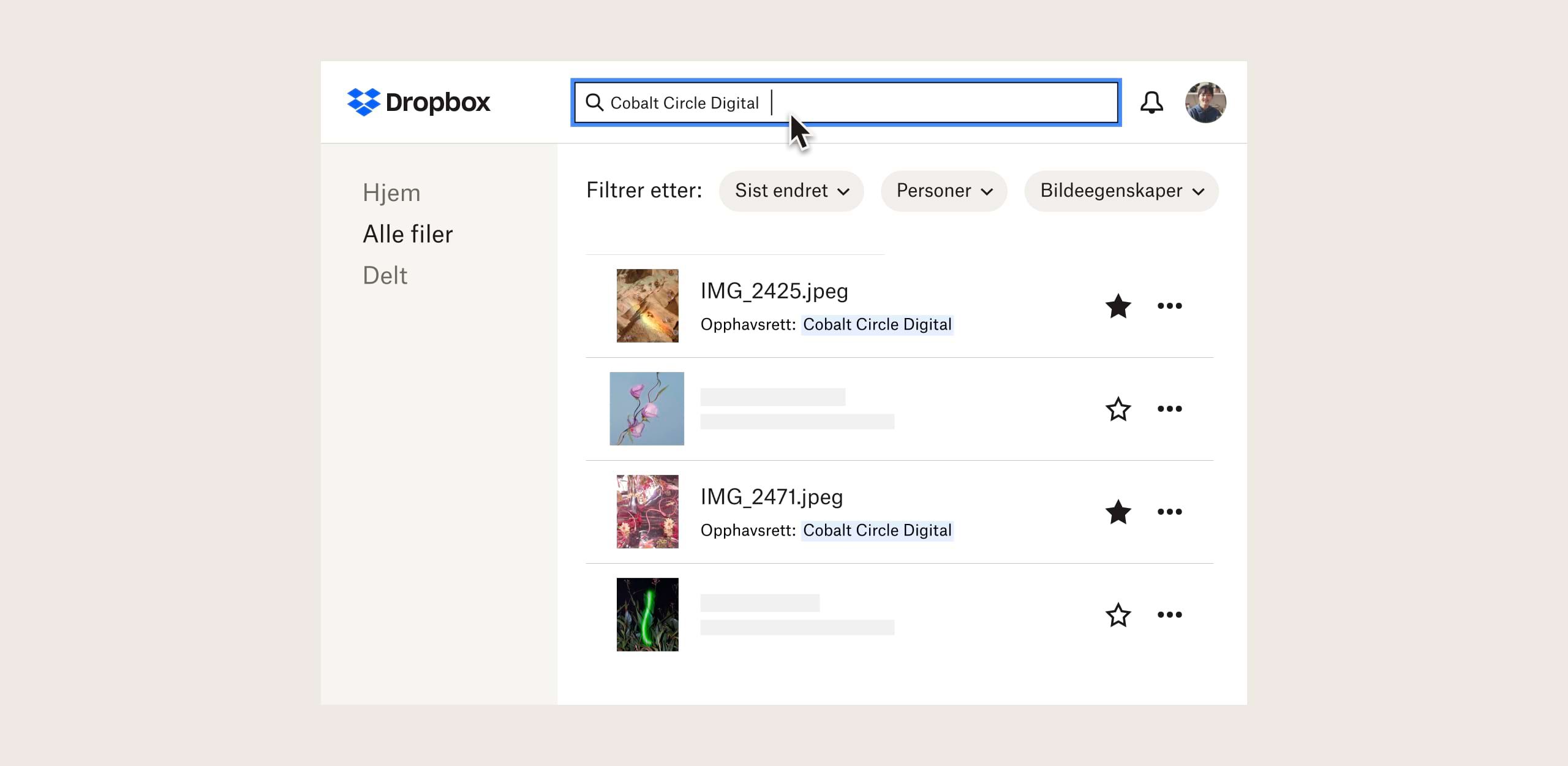 En søkeresultatside med bilder med opphavsrett i Dropbox-grensesnittet