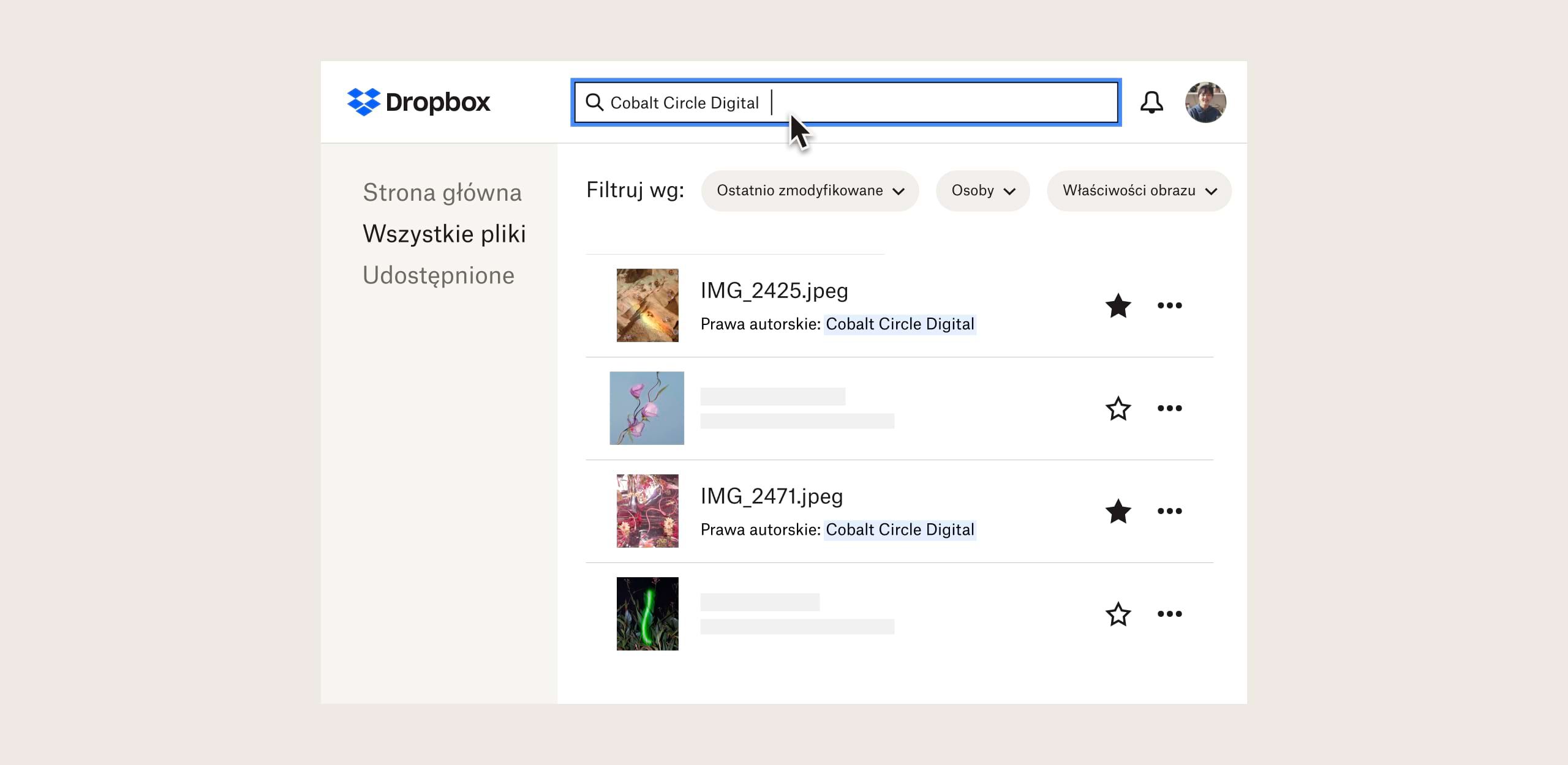 Strona wyników wyszukiwania obrazów chronionych prawami autorskimi w interfejsie Dropbox