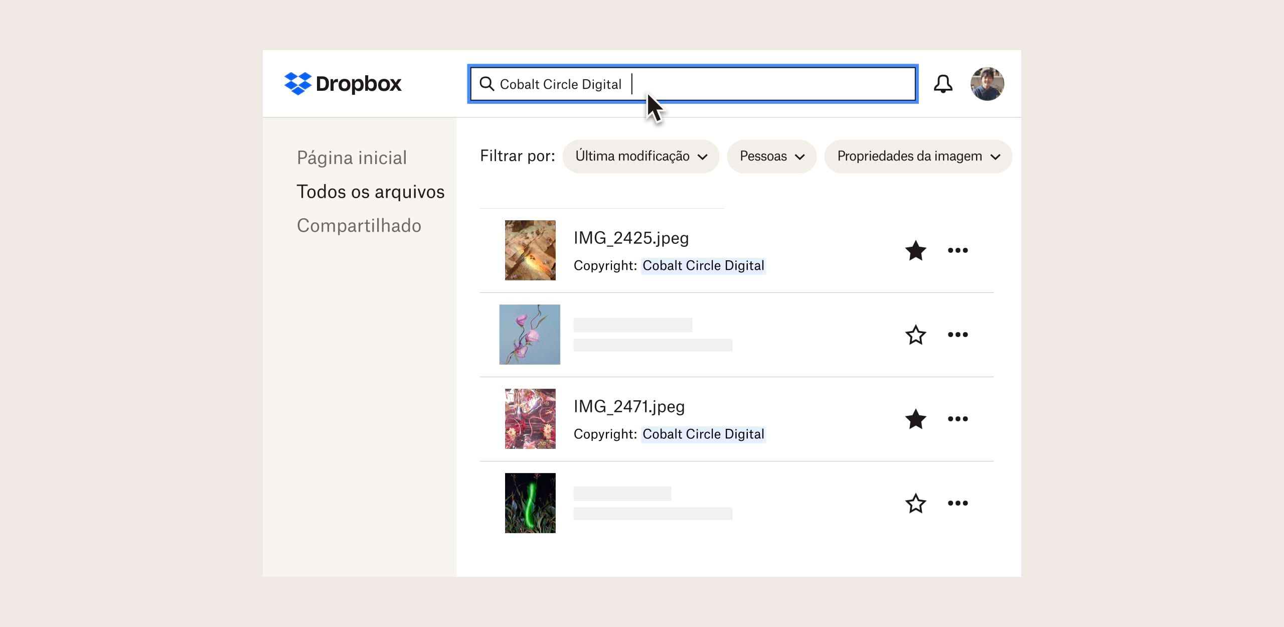 Uma página de resultados de busca de imagens com copyright na interface do Dropbox