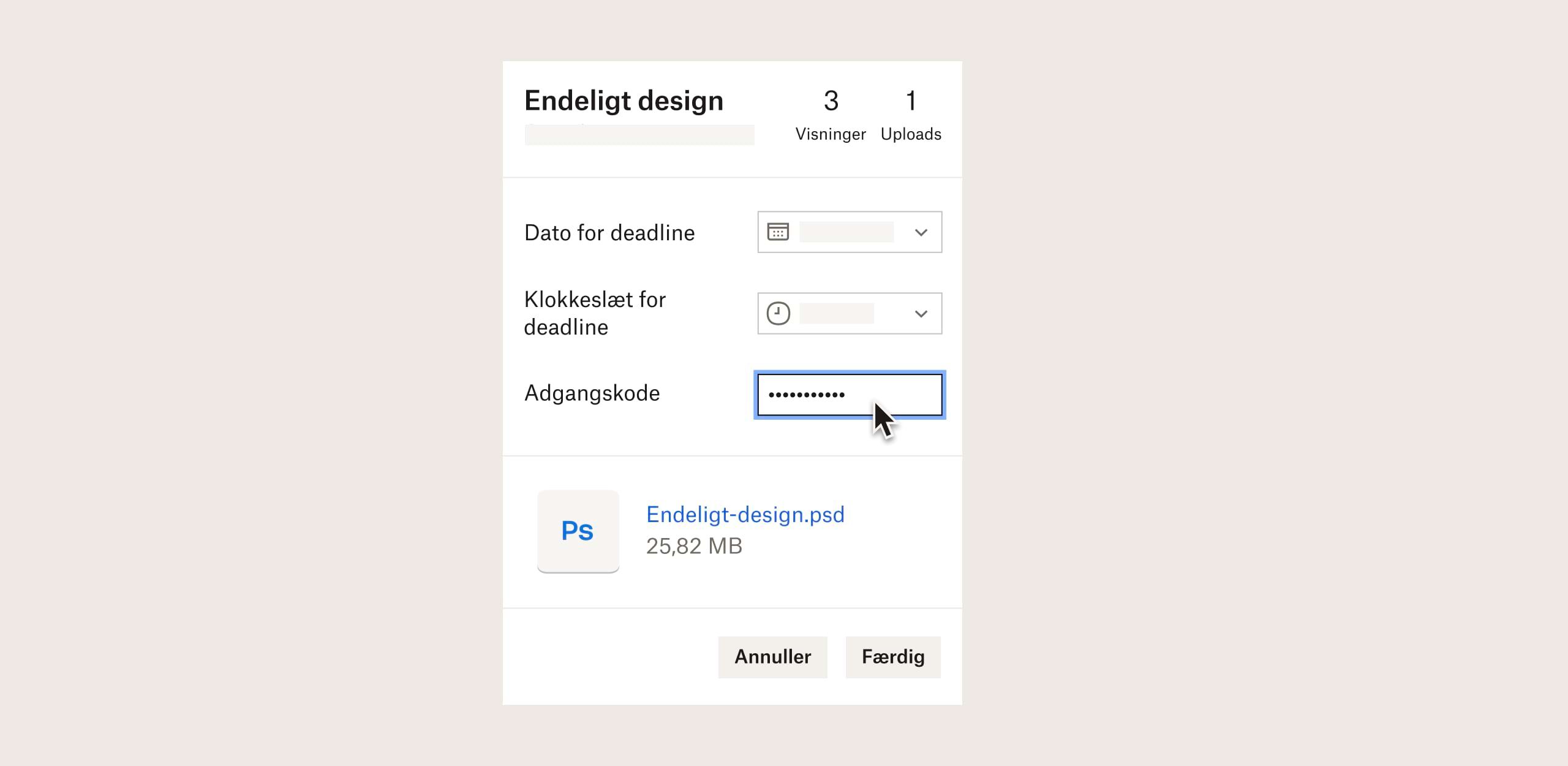 En bruger angiver en adgangskode til en fil, der sendes med Dropbox