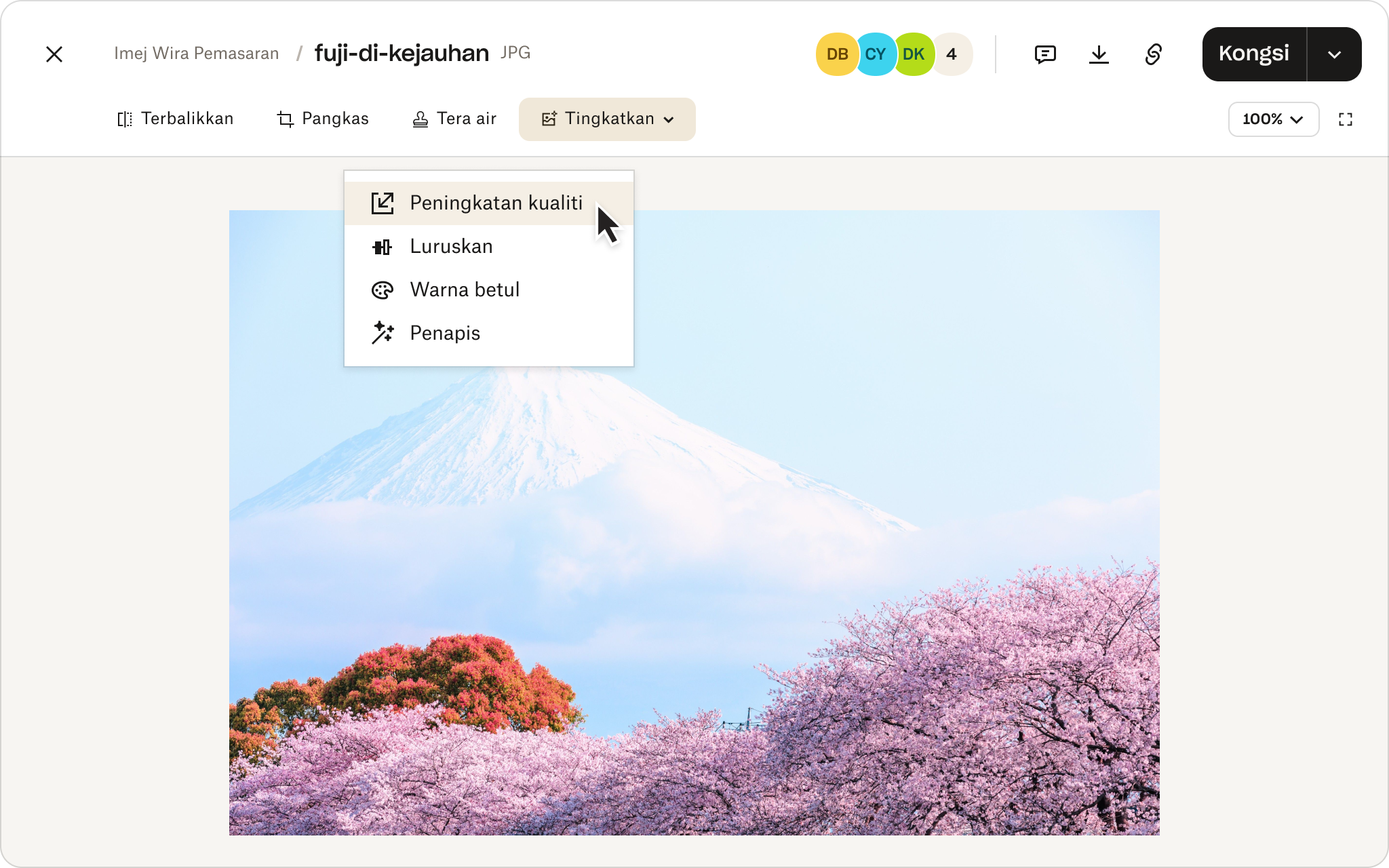 Ciri penyuntingan foto dalam penyimpanan awan Dropbox.